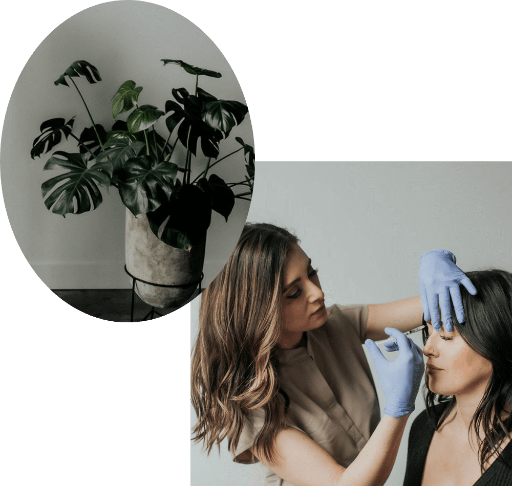 Lux Aesthetics Seattle Beauty Salon Skincare Dermal Filler Facial About collage image